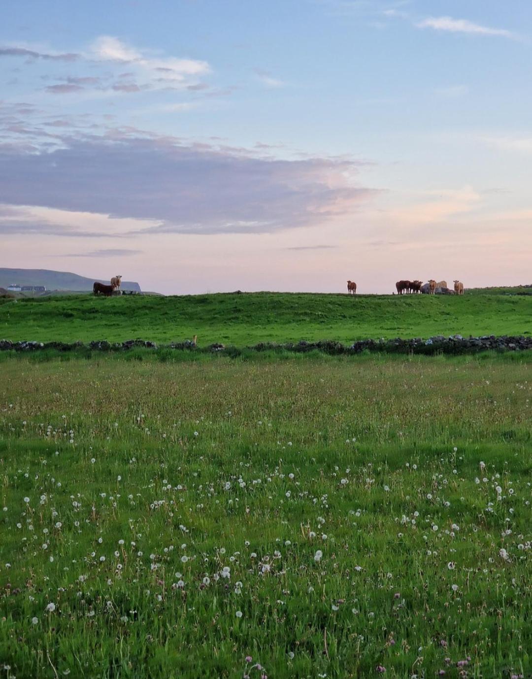 Villa Wild Meadow Huts Doolin Exterior foto