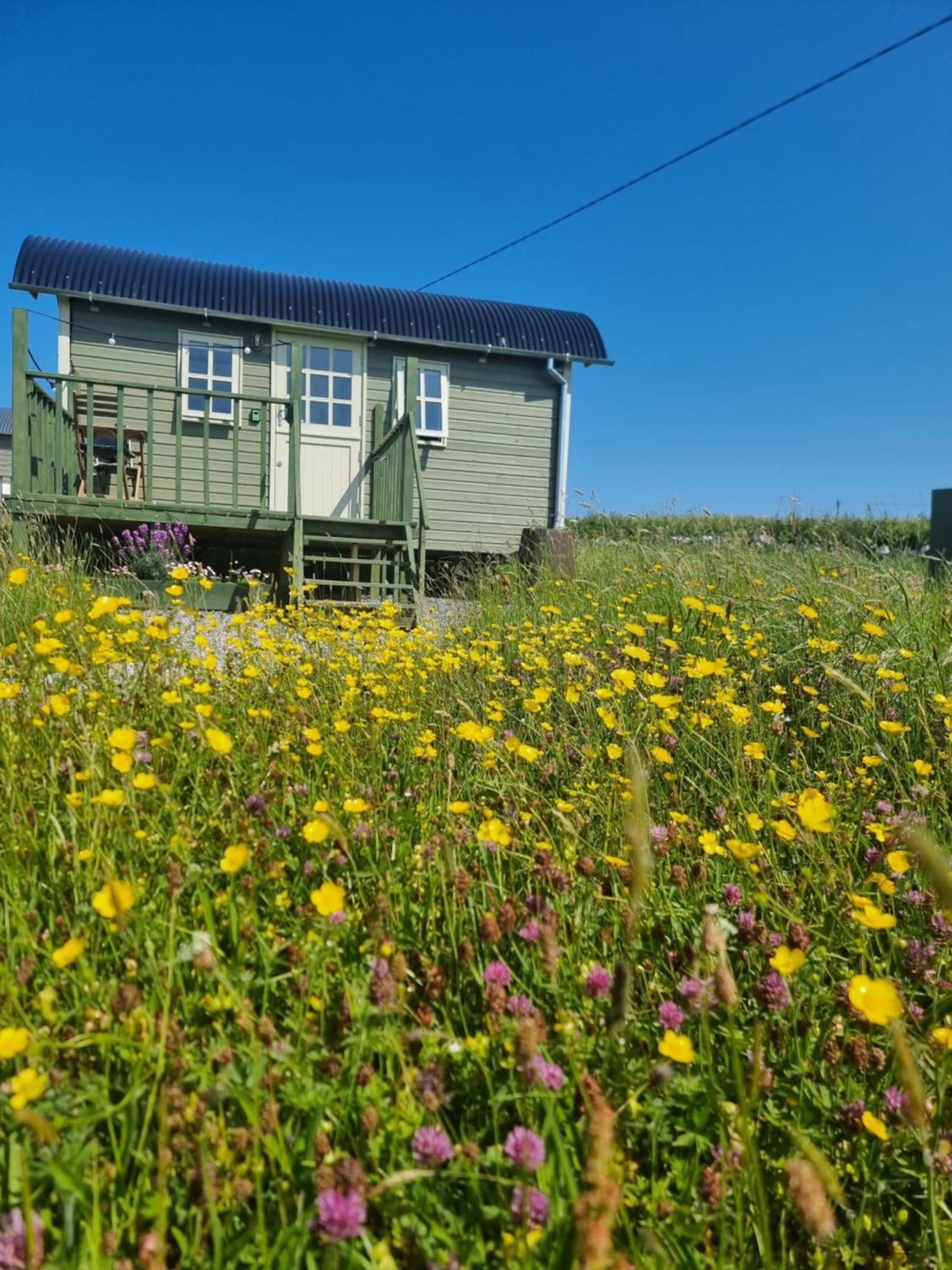 Villa Wild Meadow Huts Doolin Exterior foto